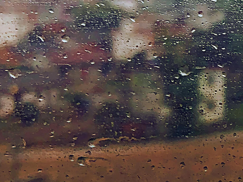 Early Rains (2019)