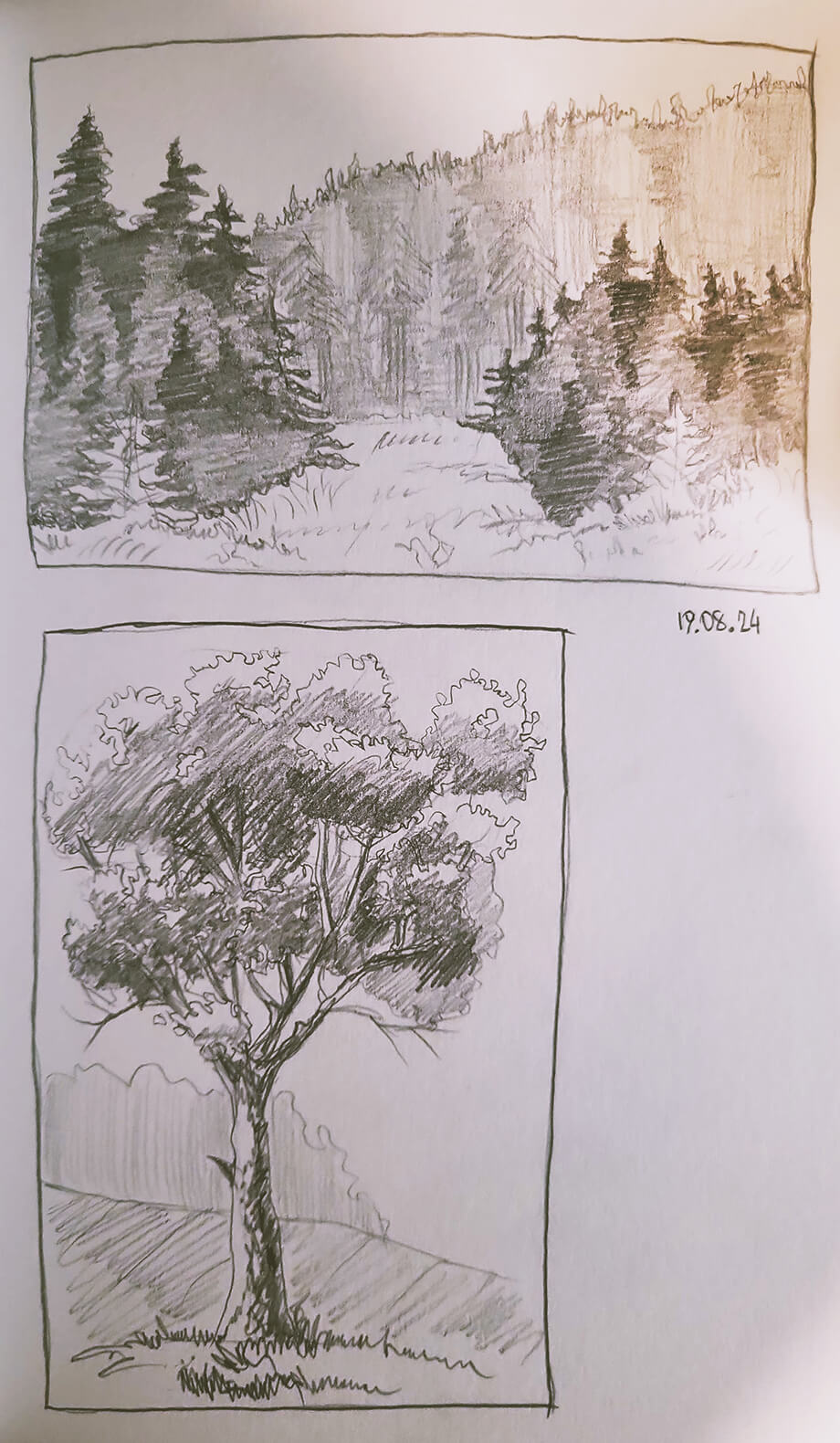 Forest sketches