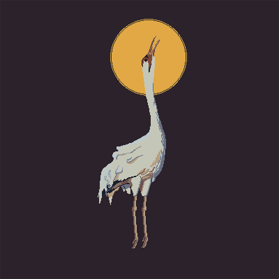 The Whooping Crane